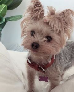 Meet your Posher, Maria